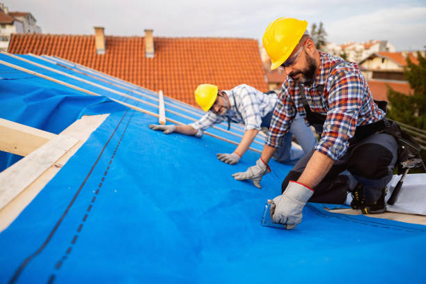 Roof Gutter Cleaning in Poquoson, VA