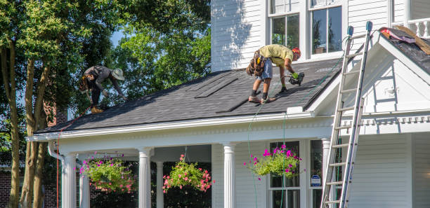 Best Roof Gutter Cleaning  in Poquoson, VA